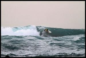 Laurent Tosetti nov11 (1)