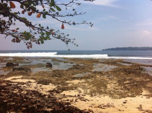 ®Benoit-CARPENTIER-Java_8©GetUp