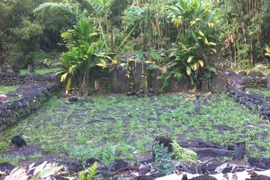 ®Benoit-CARPENTIER-Tahiti-Trip_5©BCarpentier