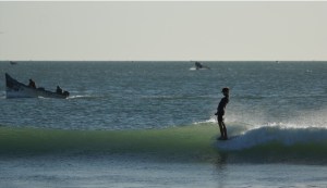 ®Benoit-CARPENTIER-Dakhla-2019-©-CCarpentier-