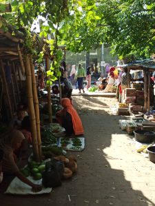 ®Benoit-CARPENTIER-LOMBOK-2020-©-B-Carpentier-5