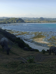 ®Benoit-CARPENTIER-LOMBOK-2020-©-B-Carpentier-6