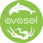 ®-Benoit-CARPENTIER-Avasol©-Avasol